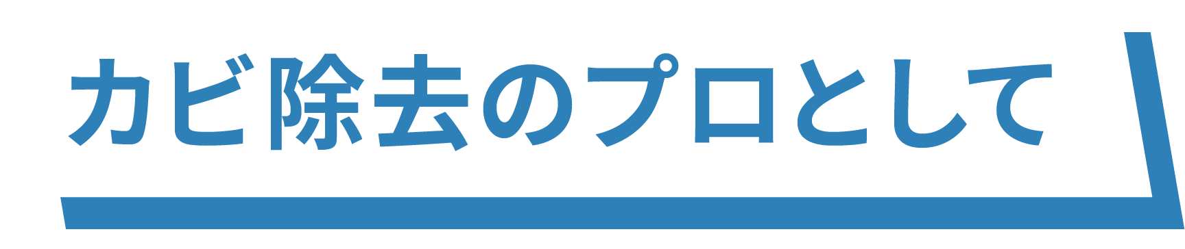 カビ除去のプロとして