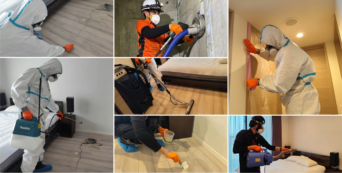 カビ除去作業の様子