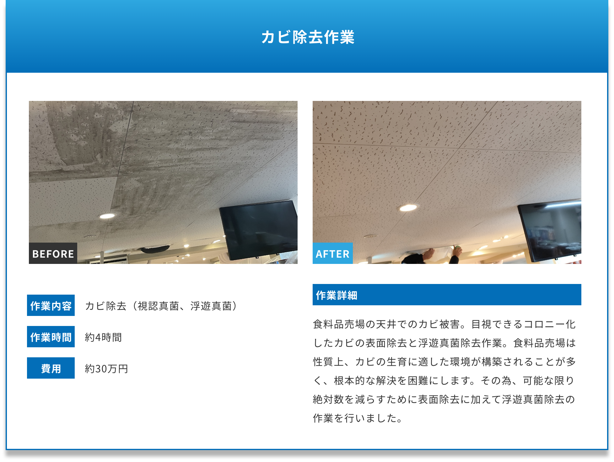 Case 04