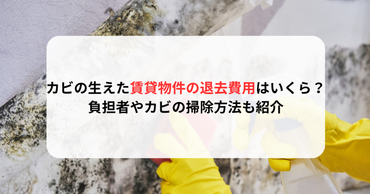 カビの生えた賃貸物件の退去費用はいくら？負担者やカビの掃除方法も紹介