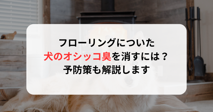 フローリングについた犬のオシッコ臭を消すには？予防策も解説します