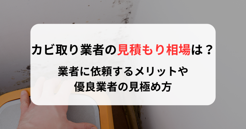 カビ取り業者の見積もり相場は？業者に依頼するメリットや優良業者の見極め方