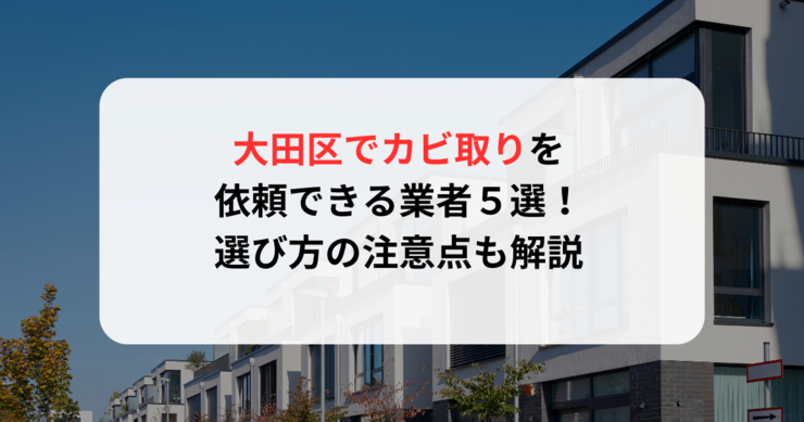 大田区でカビ取りを依頼できる業者５選！選び方の注意点も解説 (1)
