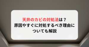 天井のカビの対処法は？原因やすぐに対処するべき理由についても解説