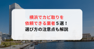 横浜でカビ取りを依頼できる業者５選！選び方の注意点も解説