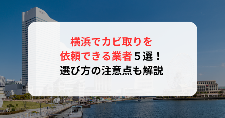 横浜でカビ取りを依頼できる業者５選！選び方の注意点も解説