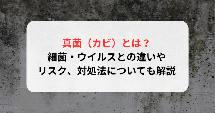天井から水漏れが起きたときの対処法は？原因や修繕費用についても解説