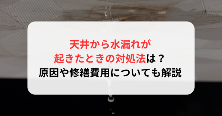 天井から水漏れが起きたときの対処法は？原因や修繕費用についても解説