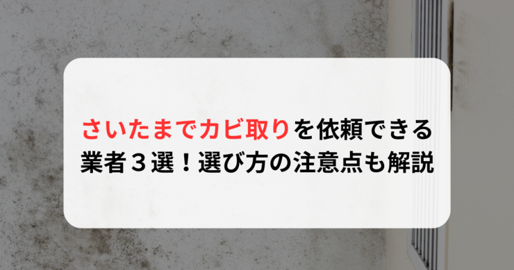 さいたまでカビ取りを依頼できる業者３選！選び方の注意点も解説