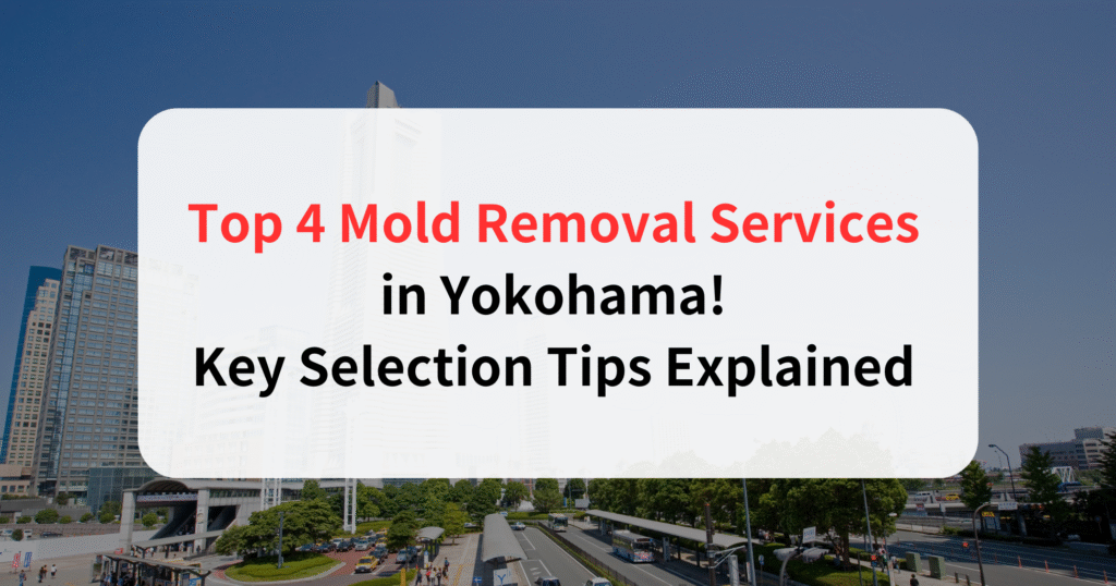 Top 4 Mold Removal Services in Yokohama! Key Selection Tips Explained