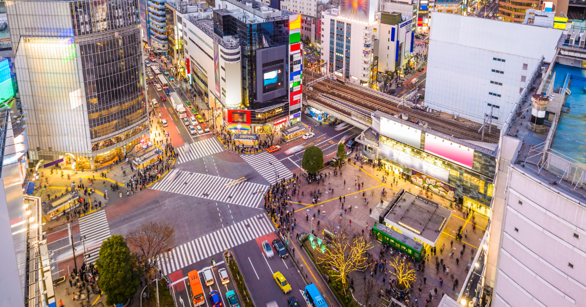 東京都でハウスクリーニングを行える業者を紹介