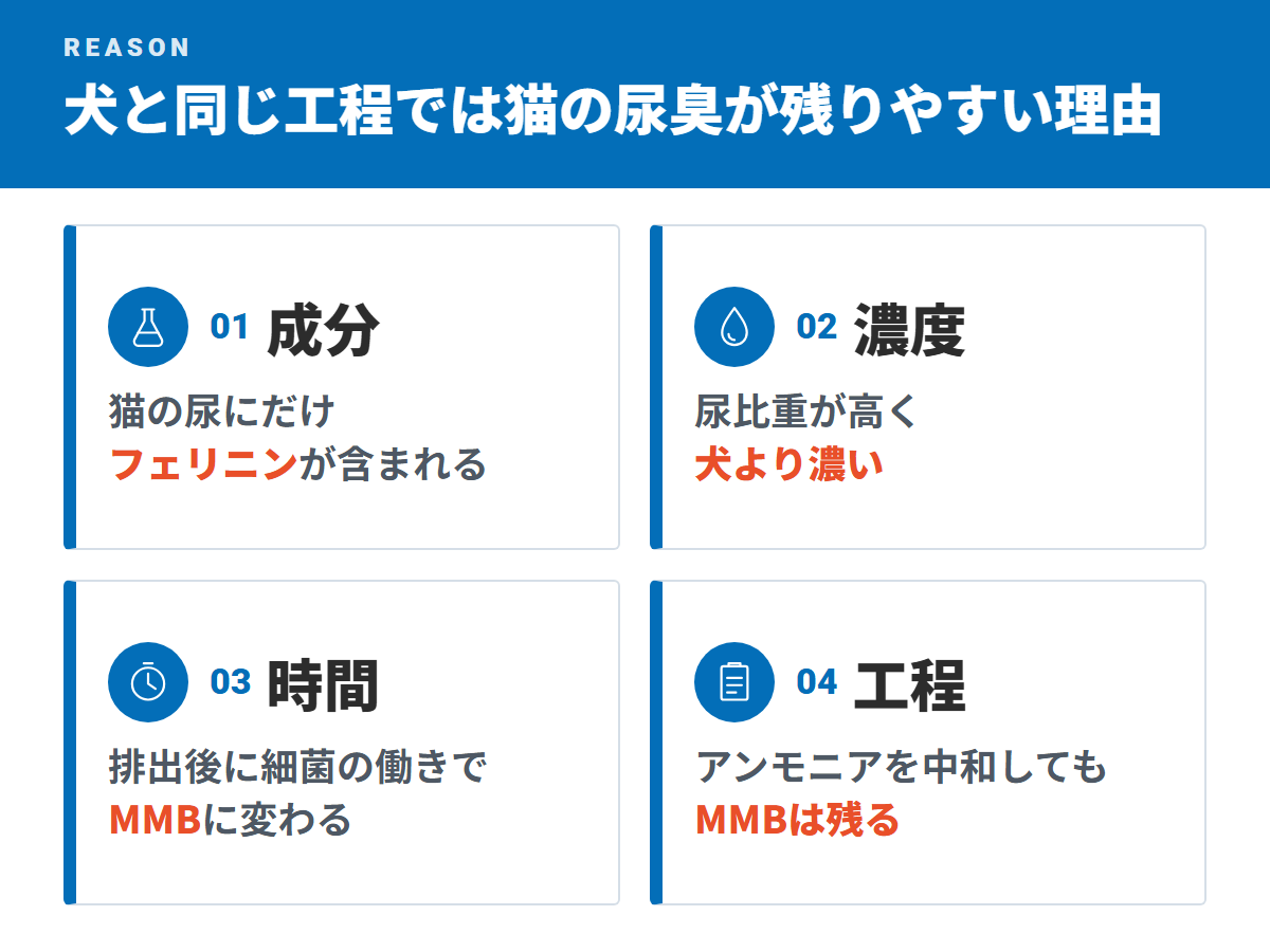 犬と同じ工程では猫の尿臭が残りやすい理由(成分・濃度・時間・工程)