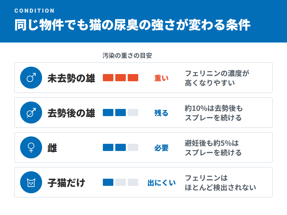 同じ物件でも猫の尿臭の強さが変わる条件(未去勢の雄・去勢後の雄・雌・子猫だけ)