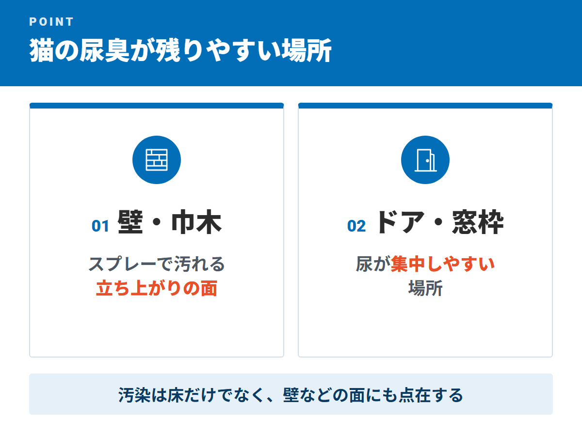 猫の尿臭が残りやすい場所(壁・巾木・ドア・窓枠)