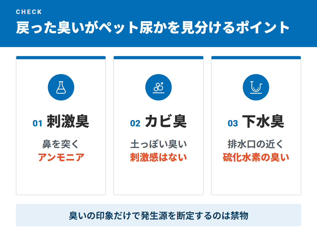 戻った臭いがペット尿かを見分けるポイント(刺激臭・カビ臭・下水臭)
