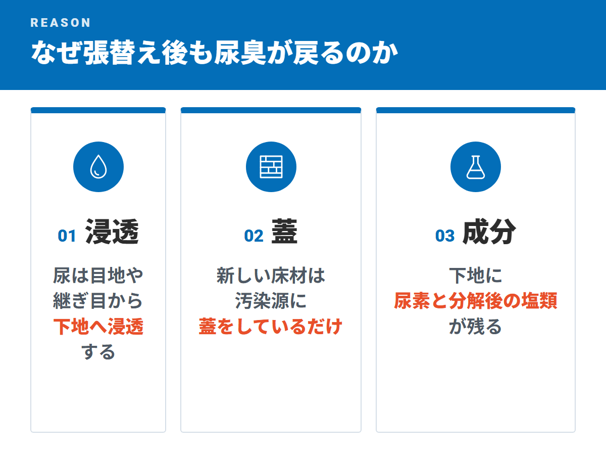 なぜ張替え後も尿臭が戻るのか(浸透・蓋・成分)